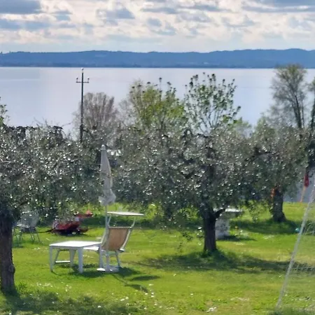 Feriegård Al-bor